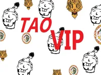 https://h5echoplay.top/game/taovip