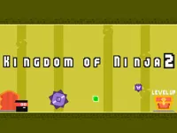 https://h5echoplay.top/game/kingdom-of-ninja-2